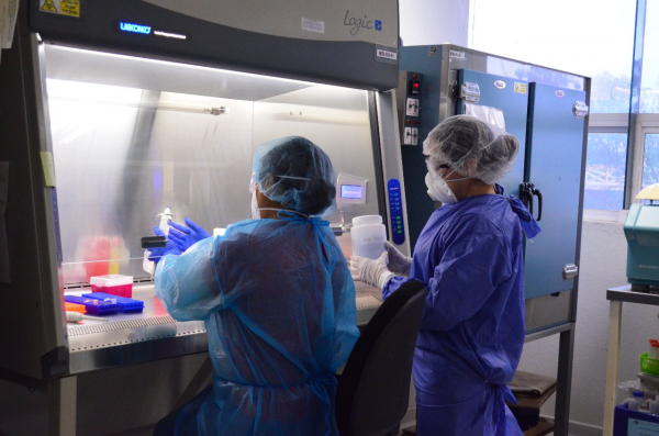 Reporta SST 22 casos de COVID-19