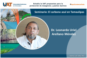 Estudia la UAT propuestas para la protecci&oacute;n de manglares y pastos marinos