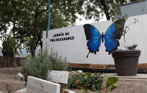 Crean en la UAT espacio ambiental y sustentable para especies polinizadoras