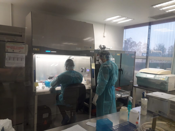 Pandemia de COVID-19 registra 114 nuevos casos en Tamaulipas