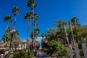 Intensifica Ayuntamiento acciones de limpieza en espacios p&uacute;blicos