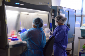 Urge Salud a extremar  precauciones por COVID y bajas temperaturas