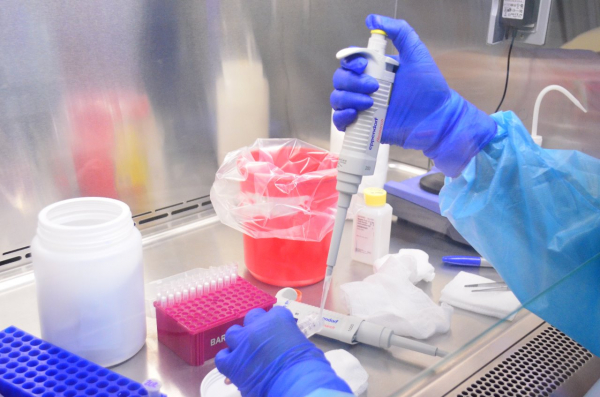 Confirman pruebas de laboratorio 232 nuevos casos de COVID-19