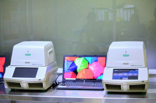 Registra pandemia 71 casos de COVID-19