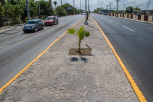 Respetar&aacute;n aforo permitido en Tercer Informe de Gobierno de Matamoros
