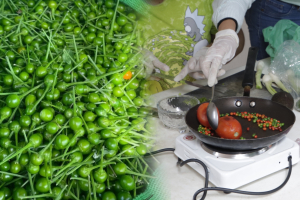 La UAT impulsa la preservaci&oacute;n del chile piqu&iacute;n como s&iacute;mbolo de identidad regional