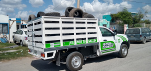 Elimina Ayuntamiento criaderos del mosco transmisor del dengue