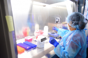 Pandemia suma 132 nuevos casos en Tamaulipas