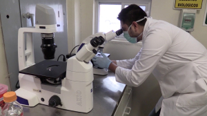 Incrementa UAT ingreso de docentes al Sistema Nacional de Investigadores