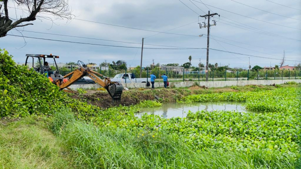 Limpia la JAD hasta 60 toneladas de lirio acu&aacute;tico