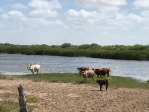 Registran presas bajos niveles, el panorama de sequia se ve complicado