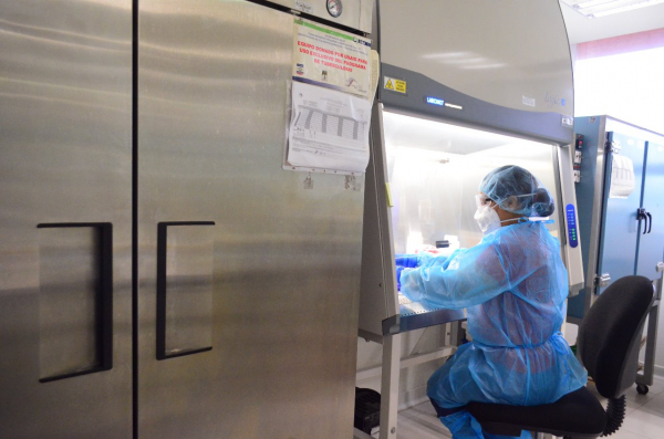 Reporta Salud 79 nuevos  contagios de COVID-19